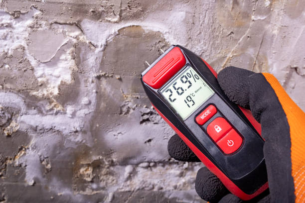 Best Water Damage Restoration  in Ellitt, CO