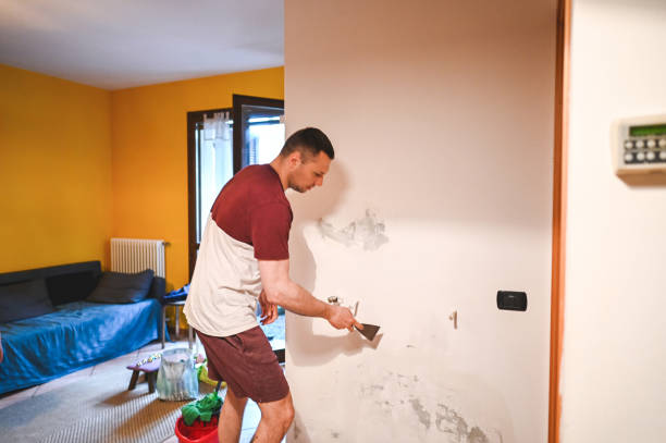 Best Local Mold Removal Service  in Ellitt, CO